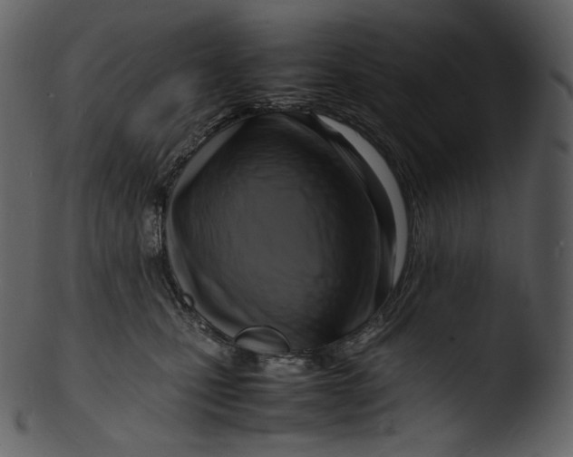 X0000103250471200809251355