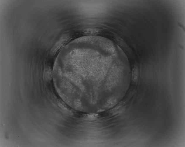 X0000103250474200809251355
