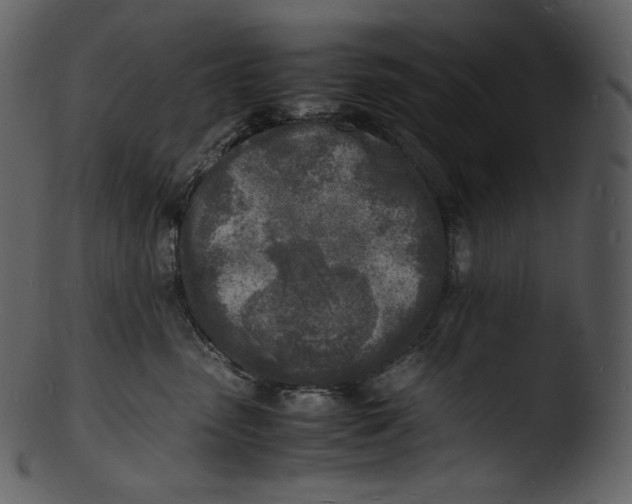 X0000103250475200809251355