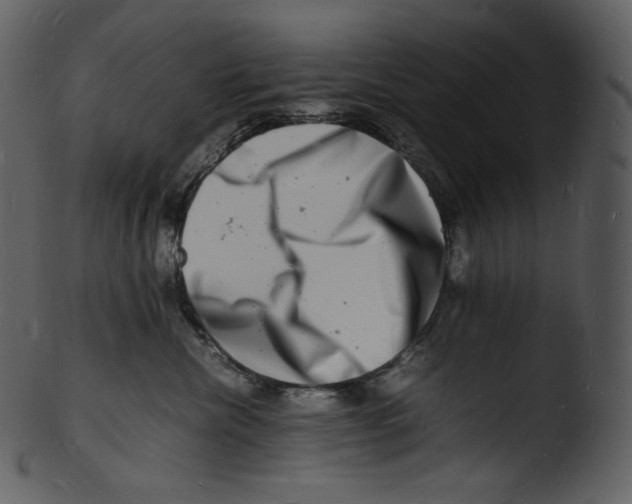 X0000103250476200809251355