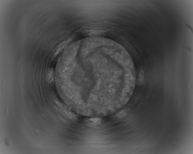 X0000103250478200809251355
