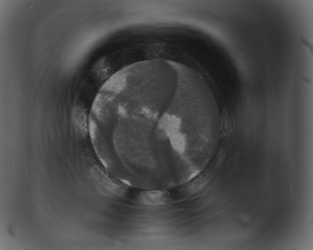X0000103250479200809251355