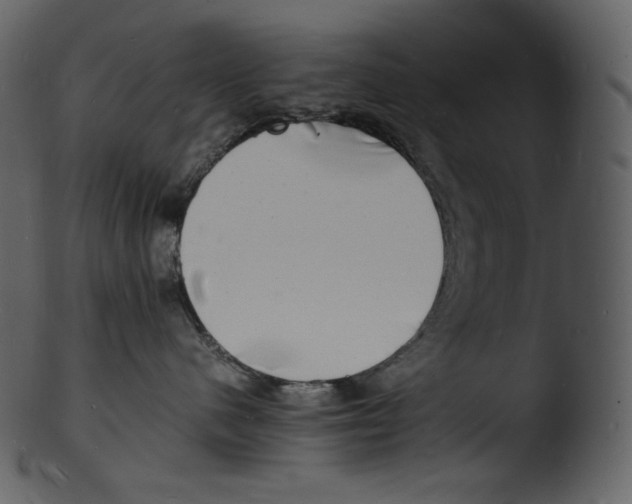 X0000103250480200809251355