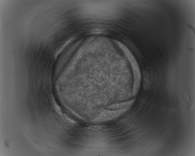 X0000103250482200809251355