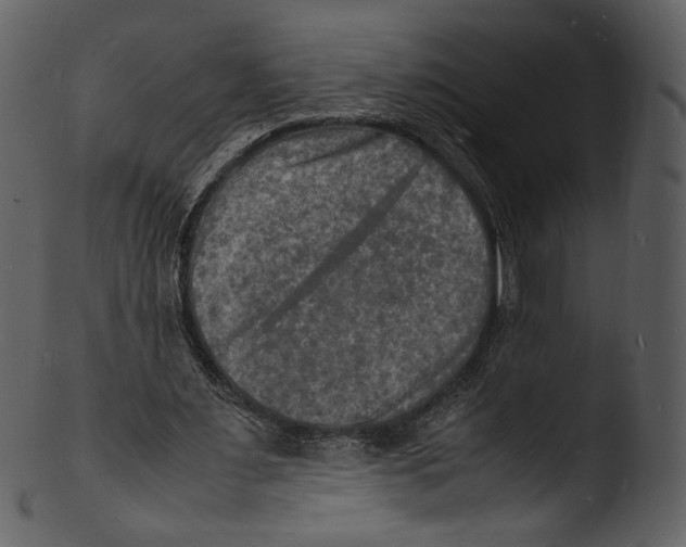 X0000103250483200809251355