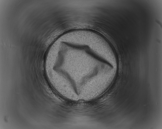 X0000103250485200809251355