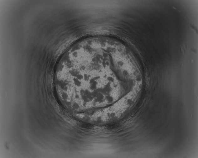 X0000103250487200809251355