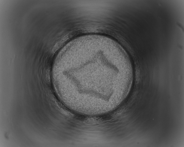 X0000103250489200809251355