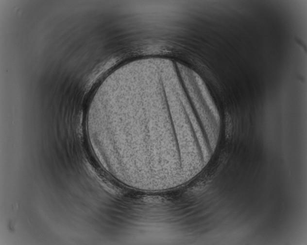 X0000103250490200809251355