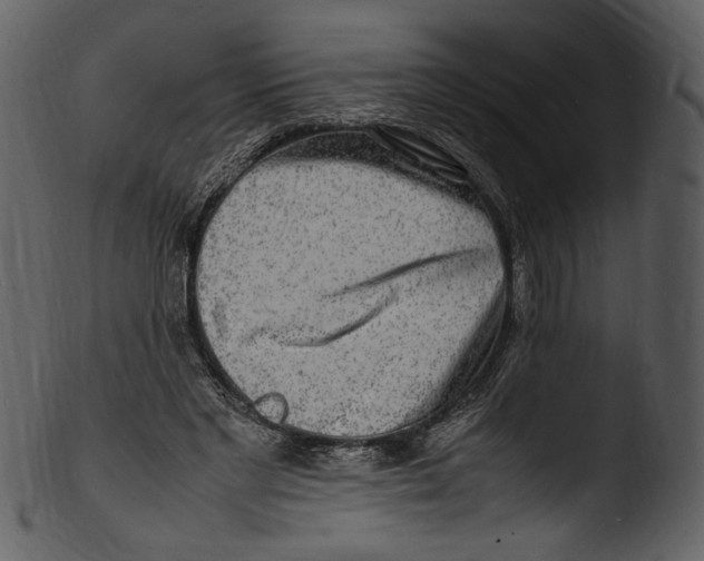 X0000103250493200809251354