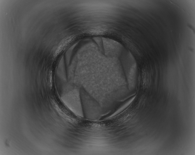 X0000103250494200809251354