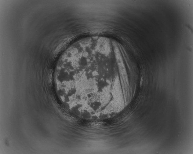 X0000103250495200809251354