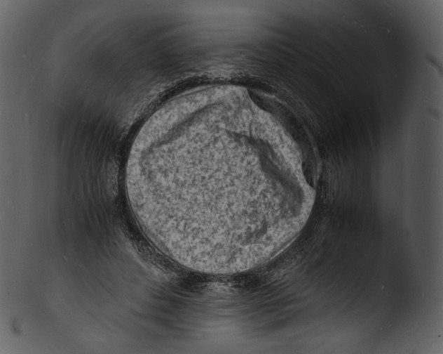 X0000103250496200809251354
