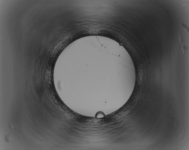 X0000103250497200809251354