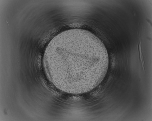 X0000103250498200809251354