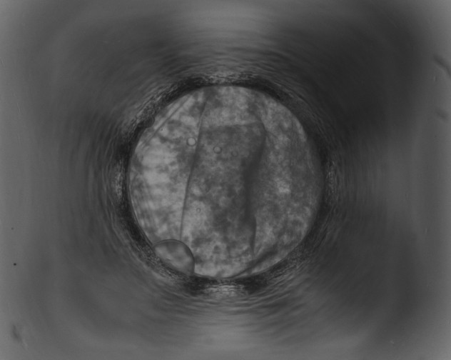 X0000103250499200809251354