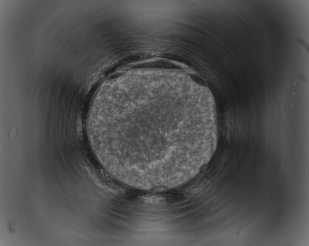 X0000103250500200809251354