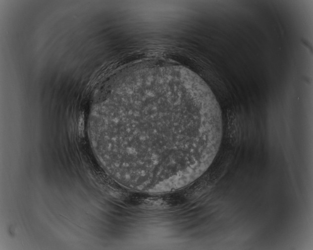 X0000103250502200809251354