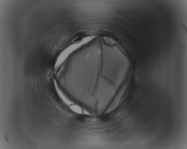 X0000103250503200809251354