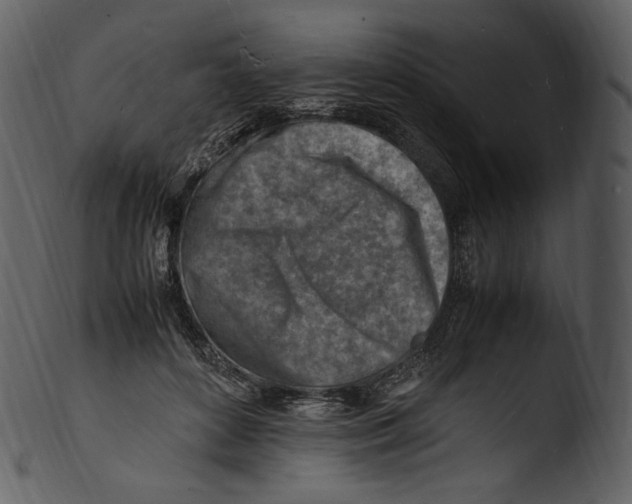 X0000103250504200809251354