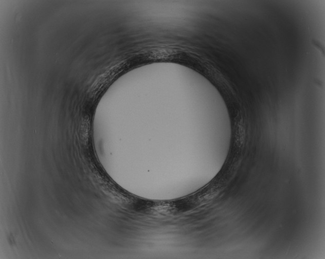 X0000103250505200809251354