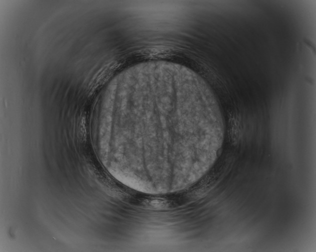 X0000103250506200809251354