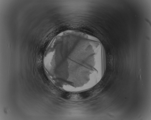 X0000103250507200809251354
