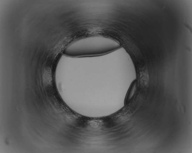 X0000103250508200809251354