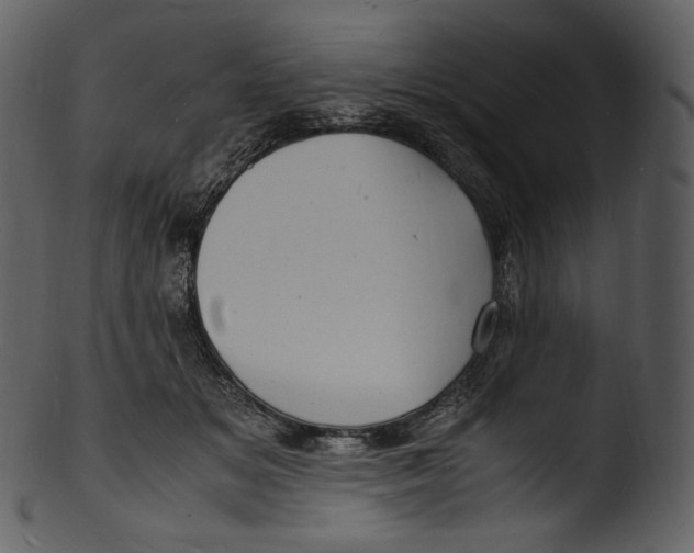 X0000103250509200809251354