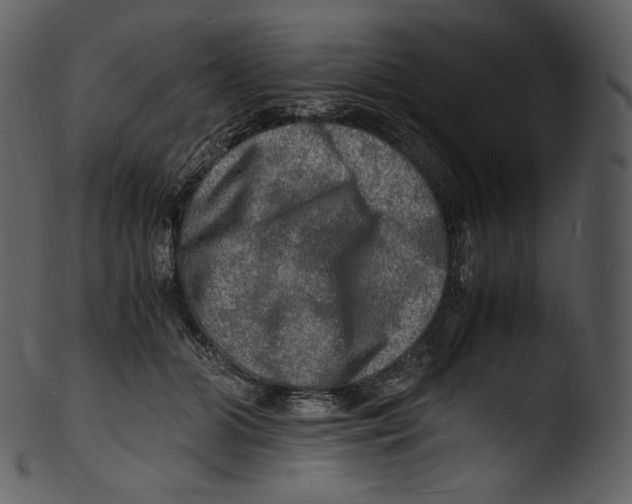 X0000103250510200809251354