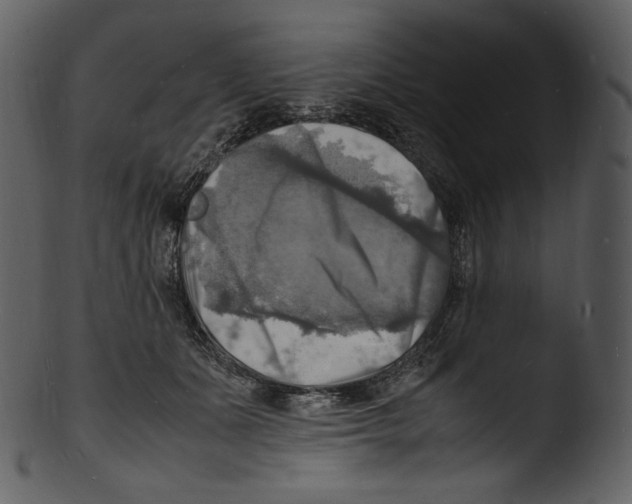 X0000103250511200809251354