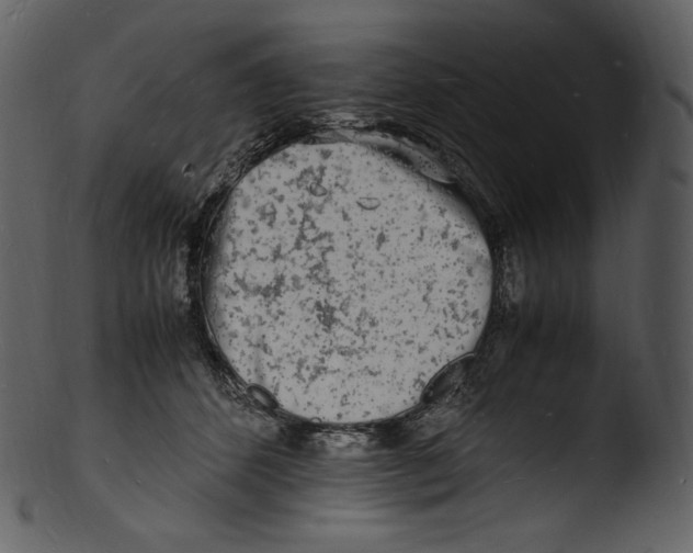 X0000103250512200809251354