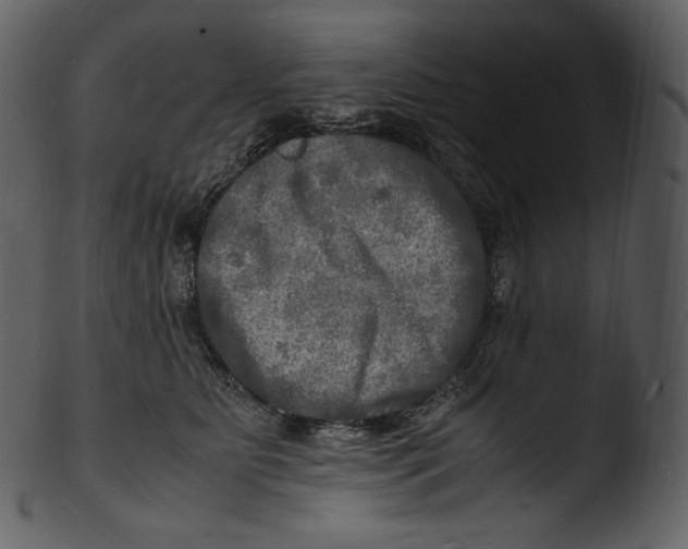 X0000103250515200809251354