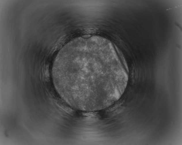 X0000103250516200809251354