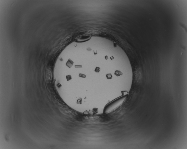 X0000103250517200809251354