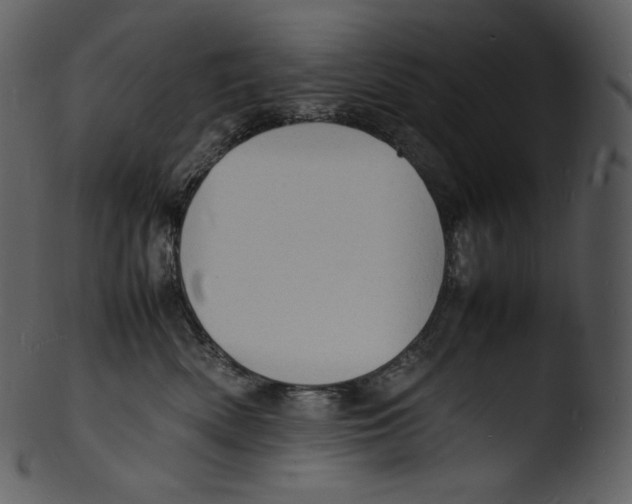 X0000103250522200809251354