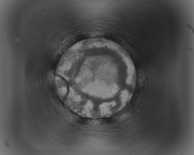 X0000103250523200809251354