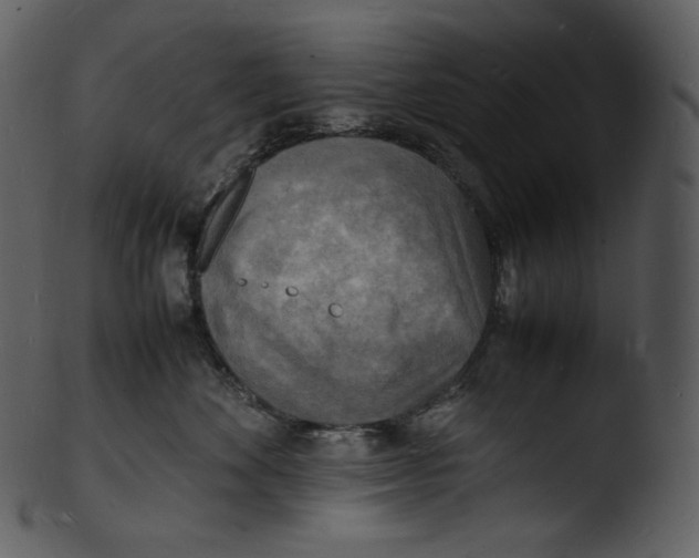 X0000103250524200809251354