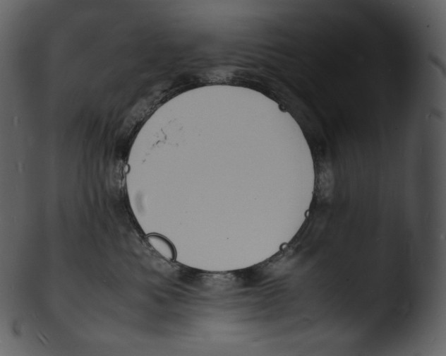 X0000103250525200809251354