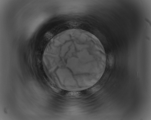 X0000103250526200809251354