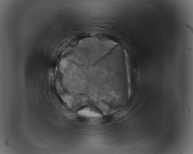 X0000103250527200809251354
