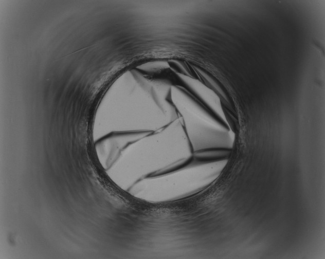 X0000103250530200809251353
