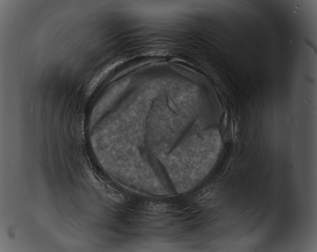 X0000103250531200809251353