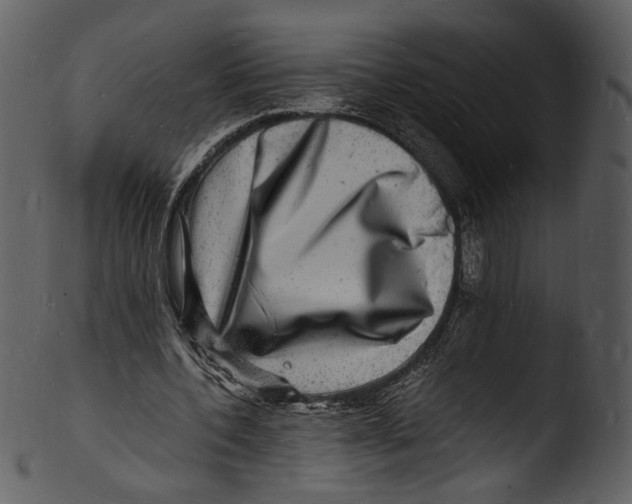 X0000103250532200809251353