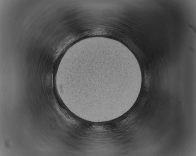 X0000103250534200809251353
