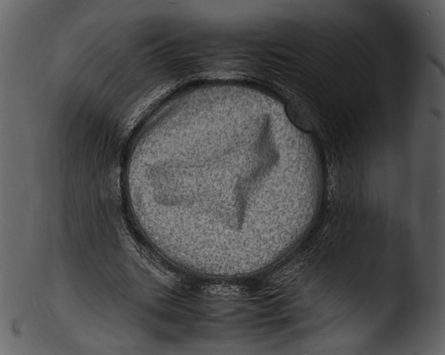 X0000103250535200809251353