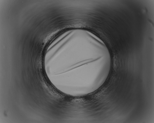 X0000103250536200809251353