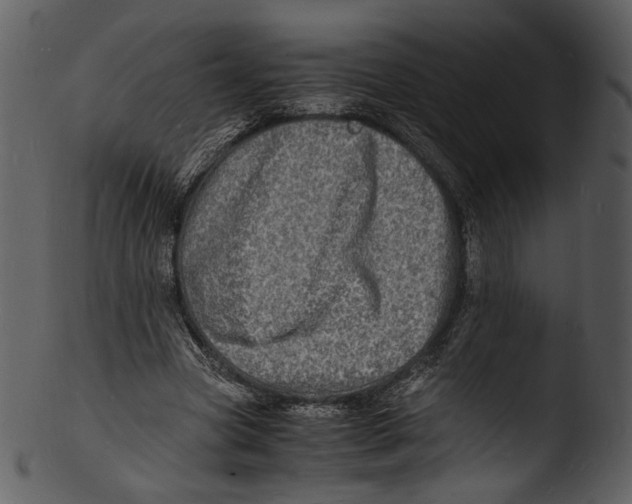 X0000103250537200809251353