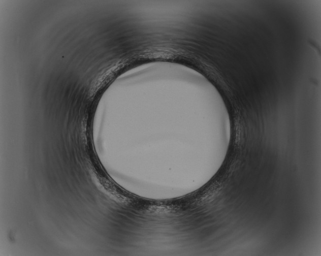 X0000103250538200809251353