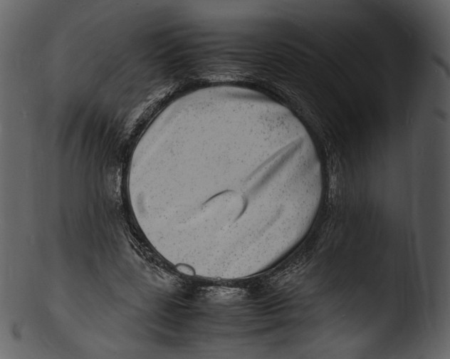 X0000103250539200809251353